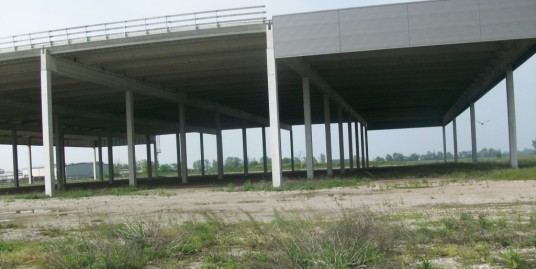 CORTEMAGGIORE : CAPANNONE DI 9.000 MQ AL RUSTICO