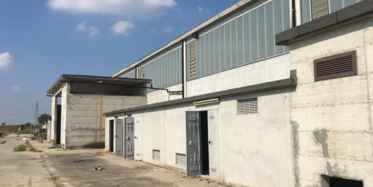 PIACENZA NORD : COMPLESSO IMMOBILIARE SU LOTTO DI 24.000 MQ