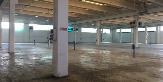 Bassa Piacentina : capannoni da 4.000 a 8.000 mq