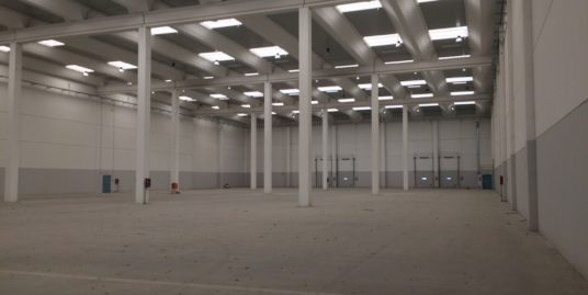 PAVIA – LODI – AFFITTASI CAPANNONE DI 10.000 MQ PER LOGISTICA