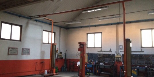 PIACENZA : VENDESI OFFICINA AUTO