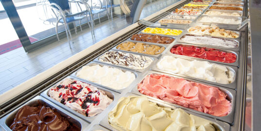 PIACENZA : CEDESI GELATERIA CENTRALISSIMA