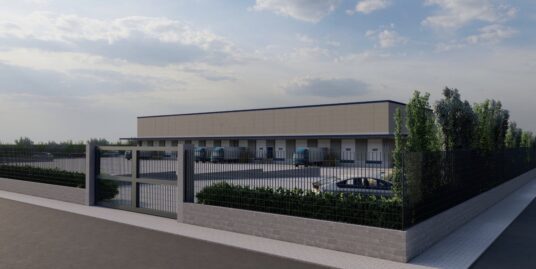 SAN GIORGIO PIACENTINO : VENDESI TERRENO DI 15.000 MQ