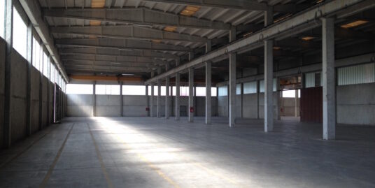 PIACENZA PROVINCIA : CAPANNONE DI 6.300 MQ