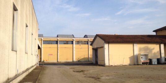 CREMONA/MANTOVA VENDESI GRANDE COMPLESSO INDUSTRIALE DI OLTRE 15.000 MQ