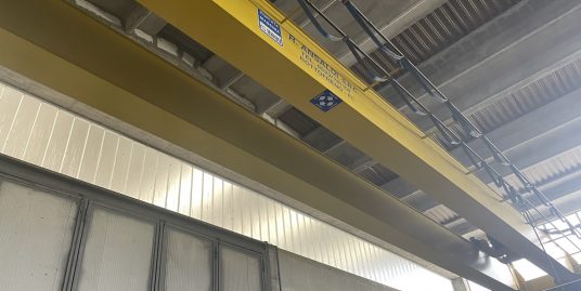 PIACENZA PROVINCIA : VENDESI COMPLESSO INDUSTRIALE SU LOTTO DI 60.000 MQ