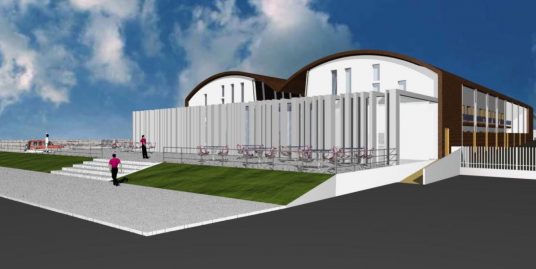 PIACENZA : VENDESI COMPLESSO INDUSTRIALE A REDDITO