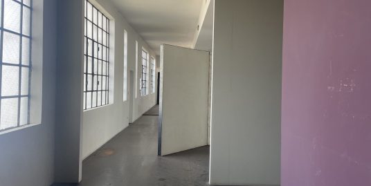 PIACENZA PROVINCIA VENDESI COMPLESSO POLIFUNZIONALE