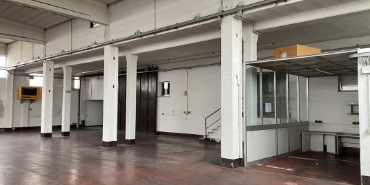 PIACENZA : CAPANNONE A REDDITO