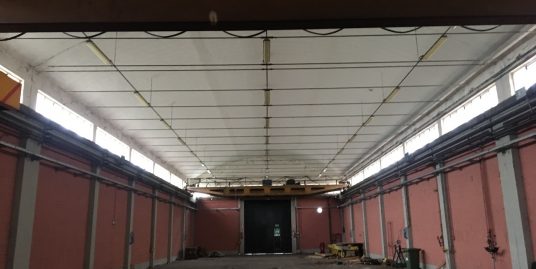 FIDENZA – FIORENZUOLA : AFFITTASI CAPANNONI EX CARPENTERIA