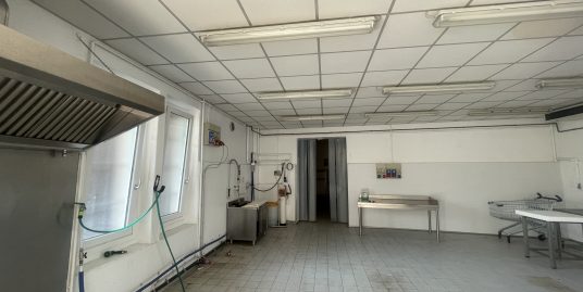 PIACENZA : LABORATORIO IN PIACENZA DI 450 MQ CIRCA