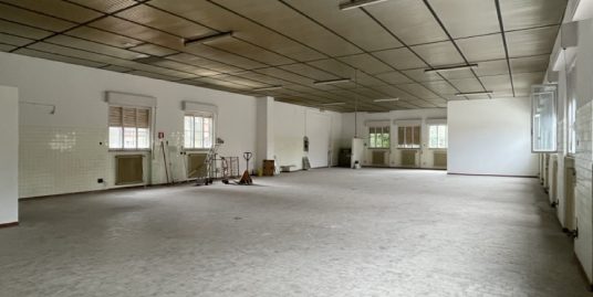 PIACENZA LABORATORIO NEGOZIO DI 400 MQ