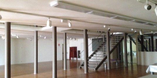 PIACENZA VIA EMILIA PAVESE : NEGOZIO DI 900 MQ