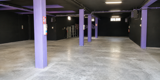 PIACENZA VEGGIOLETTA : LABORATORIO DI 380 MQ